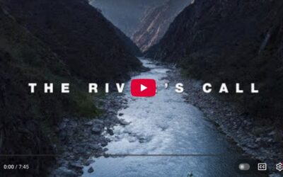 The River’s Call: die Video-Watchlist der Redaktion